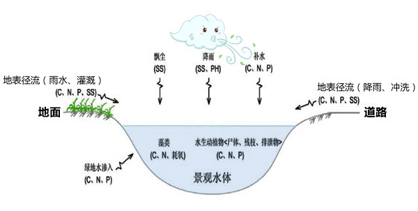 景觀水污染原理