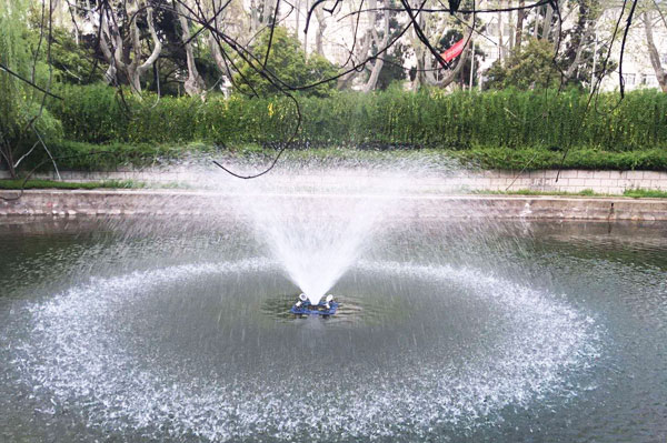 小區(qū)景觀池水質(zhì)曝氣