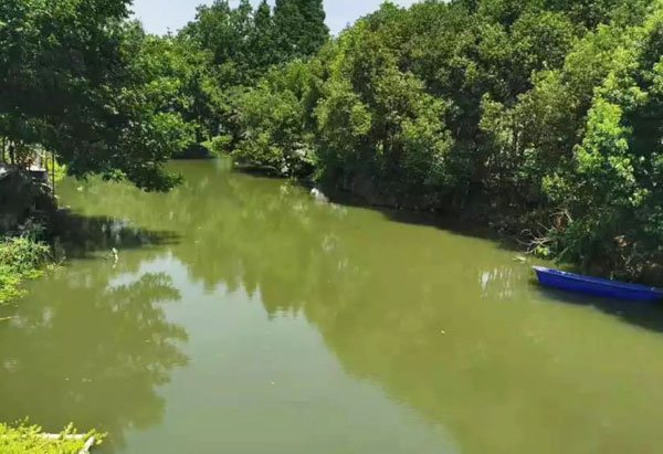 小區(qū)景觀池水質(zhì)差