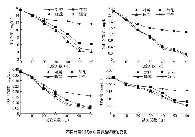 不同處理供試水中營(yíng)養(yǎng)鹽濃度的變化