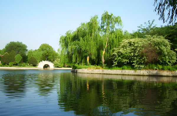 園林景觀水