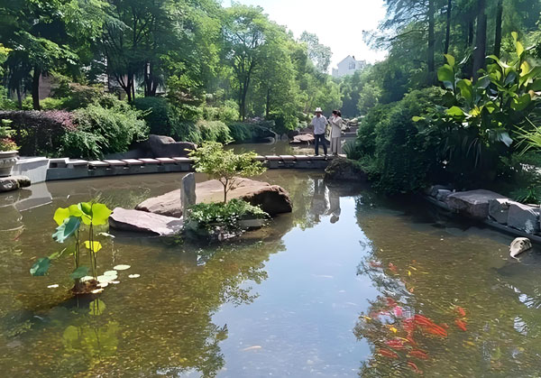 小區(qū)景觀水池富營養(yǎng)化治理方法用哪種?