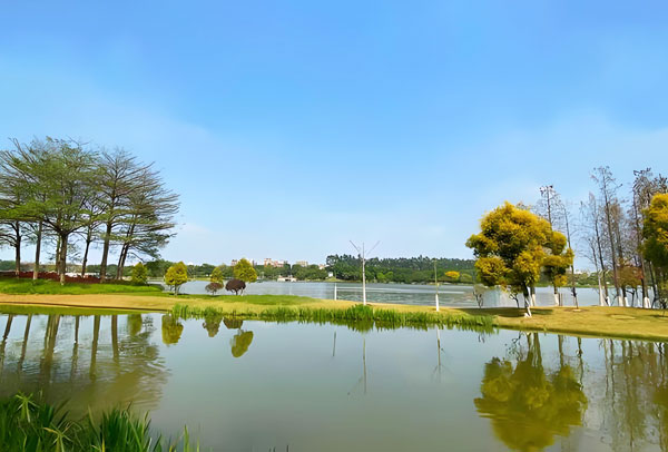 城市景觀人工湖夏天傳來陣陣惡臭該怎么解決?