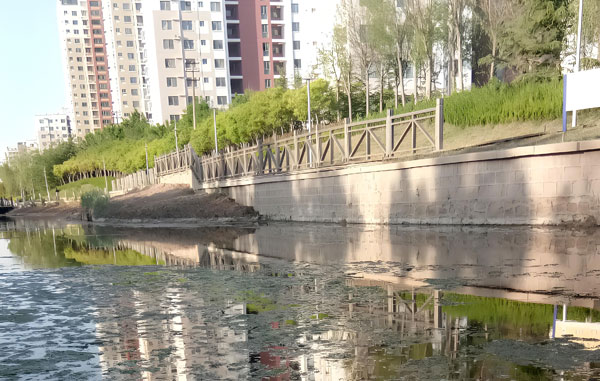 景觀池死水流動起來可以除去臭味嗎